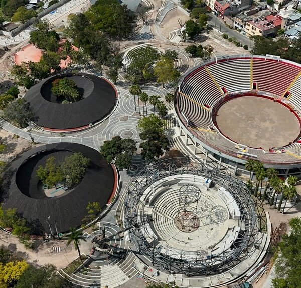 odds overview and updates