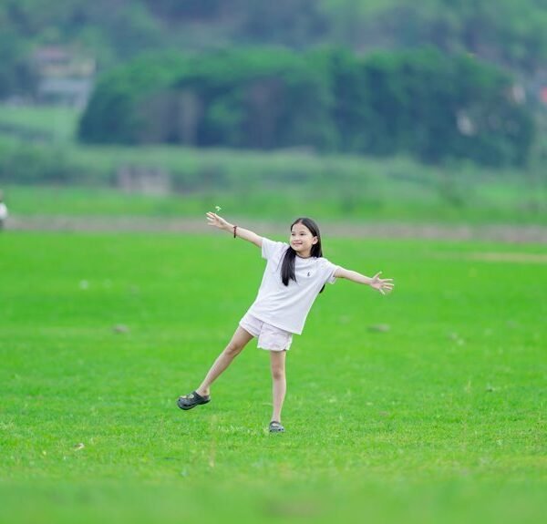 activity summary and trends