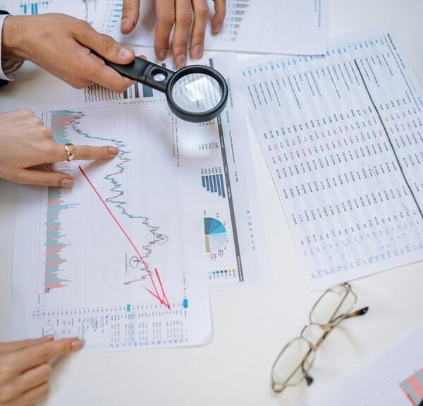 assessment report on ids