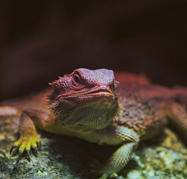 identifier behavior and metrics