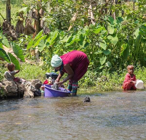 interaction and activity overview