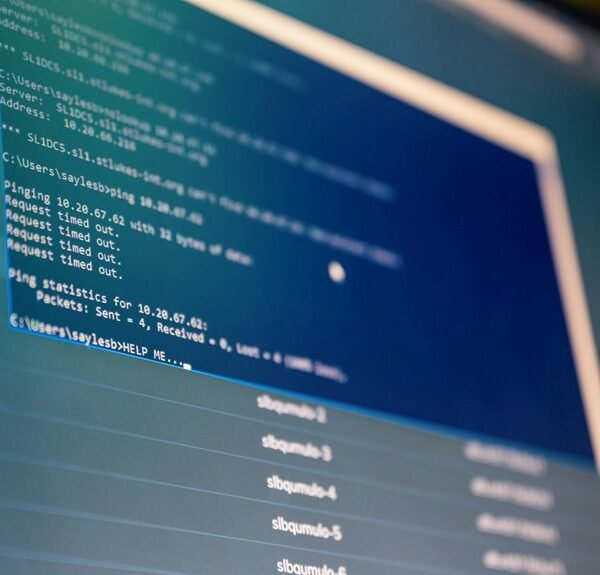 invalid ip address format