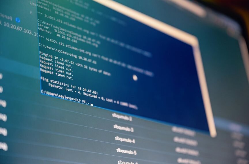 invalid ip address format