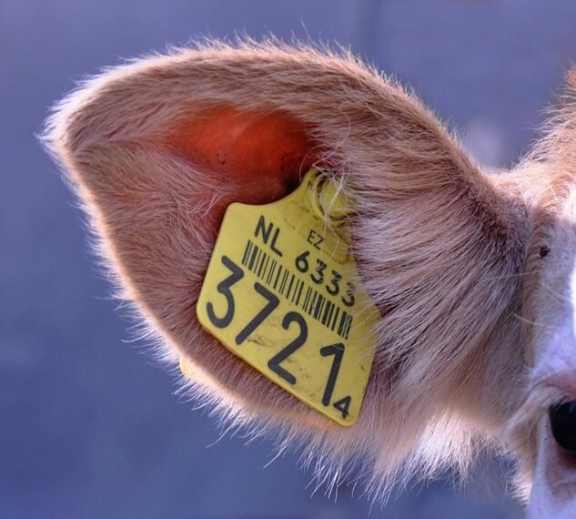 tracking multiple identification numbers