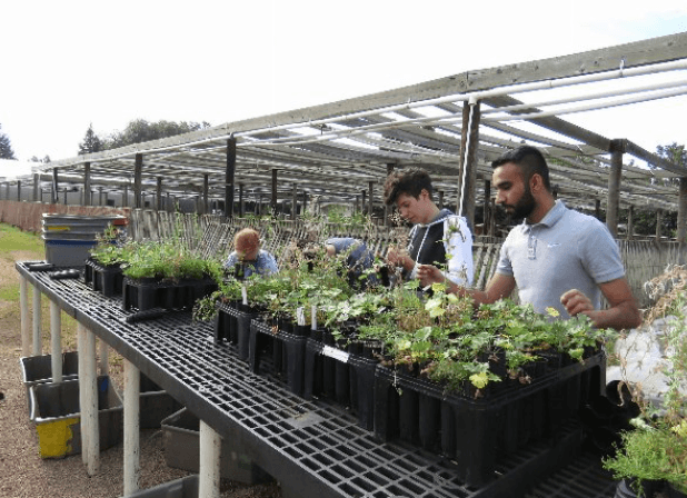Sustainability in Wholesale Plant Nursery Operations: What Buyers Should Know